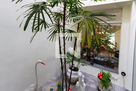 Casa à venda com 440m², 5 quartos e 8 vagas Casa à venda com 440m², 5 quartos e 8 vagasJardim de inverno