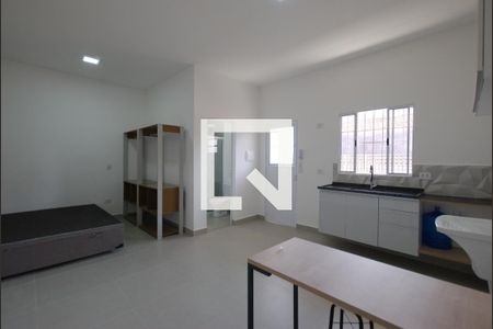 Kitnet/Studio para alugar com 1 quarto, 28m² em Vila Monumento, São Paulo