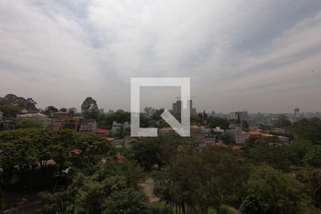 Apartamento para alugar com 300m², 3 quartos e 5 vagasVista