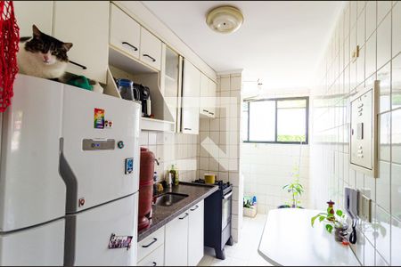 Apartamento à venda com 54m², 2 quartos e 1 vaga Apartamento à venda com 54m², 2 quartos e 1 vagaCozinha