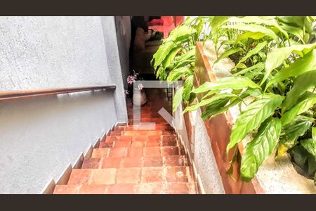 Casa à venda com 336m², 7 quartos e 3 vagas