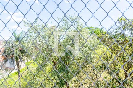 Vista do Quarto 1 de apartamento para alugar com 2 quartos, 60m² em Santa Terezinha, São Bernardo do Campo