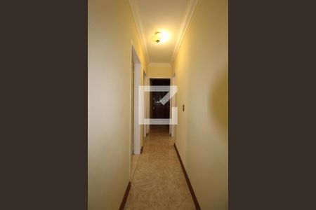 Corredor de apartamento para alugar com 3 quartos, 87m² em Ponte Preta, Campinas