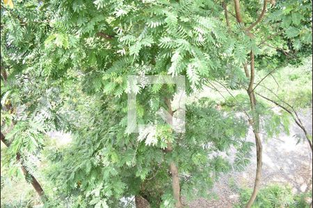 Apartamento para alugar com 54m², 2 quartos e 1 vagaVista do Quarto 1