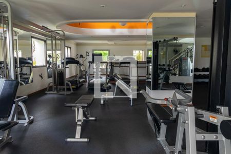 Apartamento à venda com 291m², 4 quartos e 4 vagas Apartamento à venda com 291m², 4 quartos e 4 vagasÁrea comum - Academia