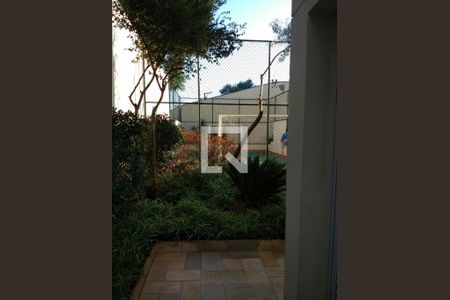 Apartamento à venda com 2 quartos, 67m² em Vila Brasilio Machado, São Paulo