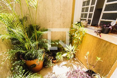 Casa à venda com 280m², 2 quartos e 2 vagas Casa à venda com 280m², 2 quartos e 2 vagasCasa 2 Quintal