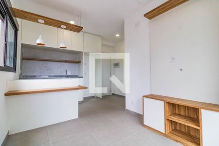 Sala - Cozinha de apartamento para alugar com 1 quarto, 29m² em Vila Santa Catarina, São Paulo