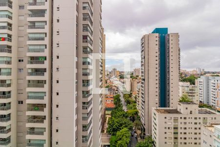 Vista do quarto de apartamento para alugar com 1 quarto, 29m² em Vila Santa Catarina, São Paulo