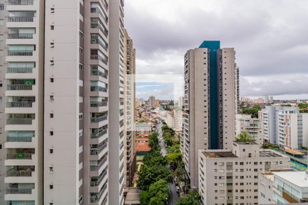 Vista da varanda de apartamento para alugar com 1 quarto, 29m² em Vila Santa Catarina, São Paulo