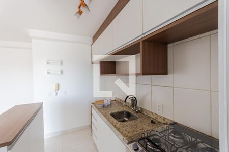 Sala/Cozinha de apartamento para alugar com 2 quartos, 51m² em Vila Metalúrgica, Santo André