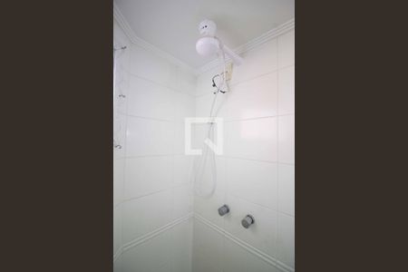 Banheiro Social de apartamento para alugar com 2 quartos, 67m² em Parque da Mooca, São Paulo