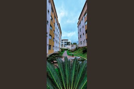 Apartamento à venda com 69m², 3 quartos e 1 vaga Apartamento à venda com 69m², 3 quartos e 1 vagaJardim