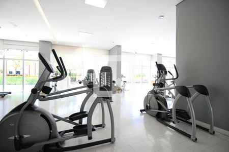 Apartamento para alugar com 35m², 1 quarto e 1 vagaÁrea comum - Academia