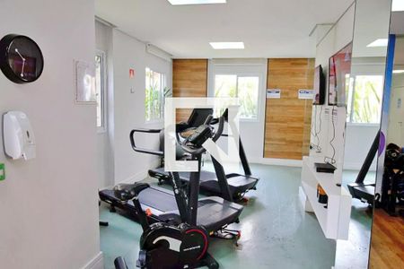Apartamento à venda com 56m², 2 quartos e 1 vaga Apartamento à venda com 56m², 2 quartos e 1 vagaÁrea comum - Academia