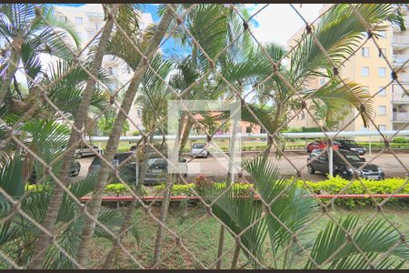 Apartamento para alugar com 57m², 2 quartos e 1 vaga Apartamento para alugar com 57m², 2 quartos e 1 vagaVista da Varanda