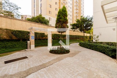 Apartamento para alugar com 49m², 2 quartos e 1 vaga Apartamento para alugar com 49m², 2 quartos e 1 vagaÁrea Comum