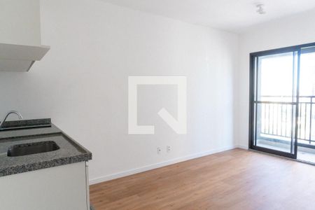 Sala/Cozinha de apartamento para alugar com 1 quarto, 29m² em Vila Santa Catarina, São Paulo