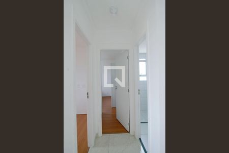 Corredor  de apartamento para alugar com 2 quartos, 43m² em Parque Reboucas, São Paulo