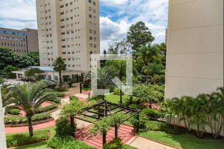 Apartamento à venda com 178m², 4 quartos e 3 vagasVista da suíte 2