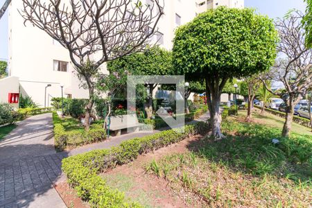 Apartamento para alugar com 75m², 2 quartos e 1 vaga Apartamento para alugar com 75m², 2 quartos e 1 vagaÁrea comum