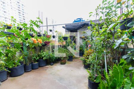 Casa à venda com 150m², 3 quartos e 2 vagas Casa à venda com 150m², 3 quartos e 2 vagasQuintal