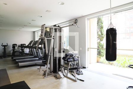 Apartamento à venda com 300m², 4 quartos e 3 vagas Apartamento à venda com 300m², 4 quartos e 3 vagasAcademia