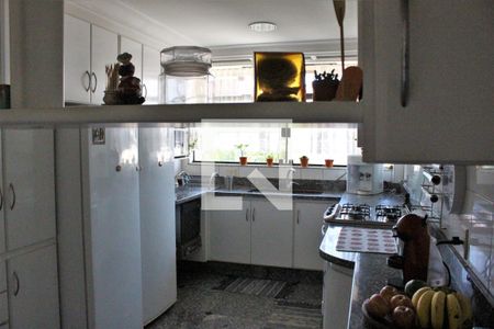 Casa à venda com 398m², 3 quartos e 4 vagasCozinha - foto 3