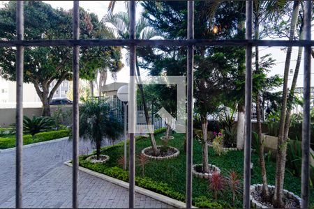 Vista do Quarto 1 de apartamento para alugar com 2 quartos, 75m² em Vila Santa Catarina, São Paulo