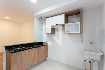 Apartamento para alugar com 31m², 1 quarto e sem vagaCozinha