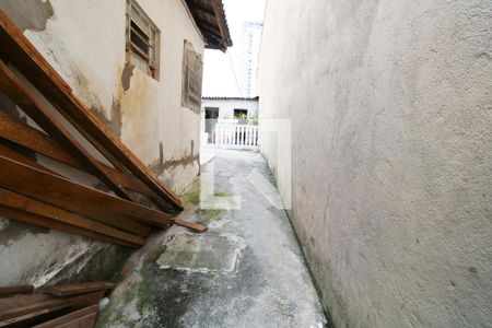 Casa à venda com 300m², 5 quartos e 3 vagas Casa à venda com 300m², 5 quartos e 3 vagasQuintal