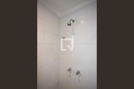 Apartamento para alugar com 75m², 3 quartos e 2 vagas Apartamento para alugar com 75m², 3 quartos e 2 vagasChuveiro do banheiro