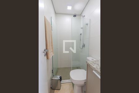 Banheiro Social de apartamento para alugar com 1 quarto, 20m² em Água Verde, Curitiba