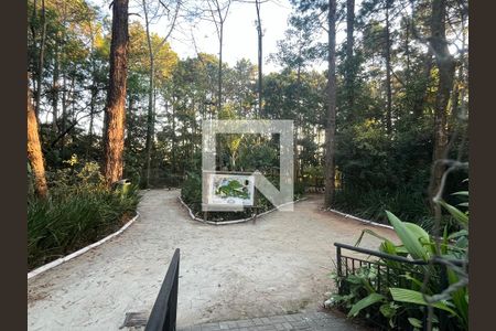 Apartamento à venda com 60m², 3 quartos e 1 vaga Apartamento à venda com 60m², 3 quartos e 1 vagaÁrea comum - Bosque