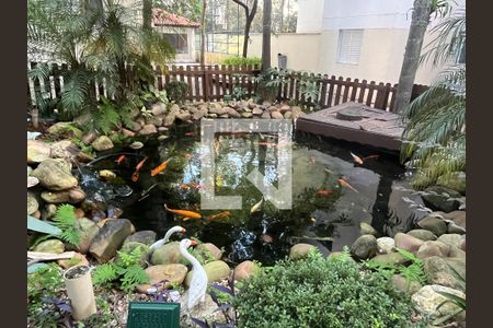 Apartamento à venda com 60m², 3 quartos e 1 vaga Apartamento à venda com 60m², 3 quartos e 1 vagaÁrea comum - Lago