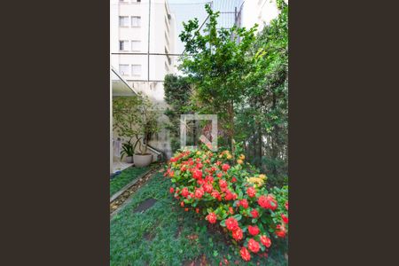 Casa de condomínio à venda com 260m², 4 quartos e 4 vagas Casa de condomínio à venda com 260m², 4 quartos e 4 vagasJardim