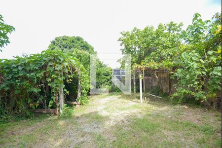 Casa para alugar com 512m², 6 quartos e NaN vagasQuintal