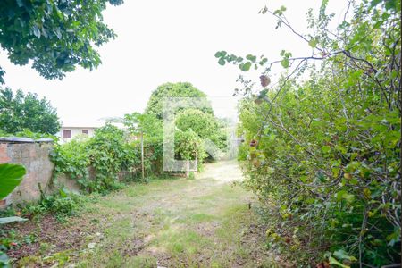 Casa para alugar com 512m², 6 quartos e NaN vagasQuintal