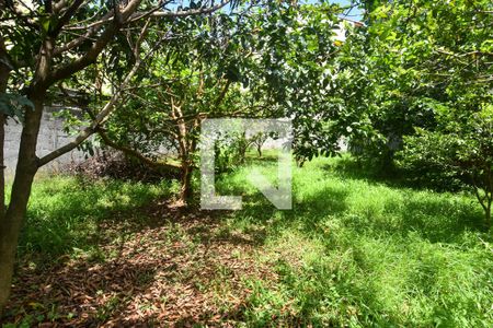 Casa à venda com 600m², 2 quartos e 3 vagasJardim