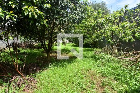 Casa à venda com 600m², 2 quartos e 3 vagasJardim