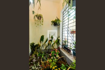 Casa à venda com 255m², 3 quartos e 4 vagasJardim de Inverno 