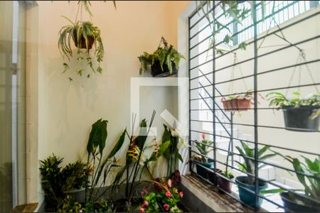 Casa à venda com 255m², 3 quartos e 4 vagasJardim de Inverno 