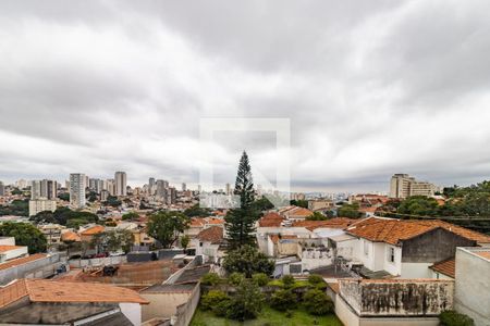 Sala - Vista de apartamento para alugar com 1 quarto, 26m² em Vila São José, São Paulo