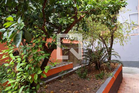 Casa à venda com 180m², 4 quartos e 7 vagas Casa à venda com 180m², 4 quartos e 7 vagasJardim / Quintal da Frente