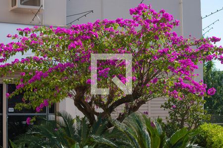 Apartamento à venda com 65m², 2 quartos e 1 vagajardim