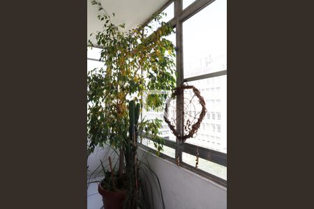 Apartamento à venda com 76m², 1 quarto e sem vaga Apartamento à venda com 76m², 1 quarto e sem vagaVaranda da Sala
