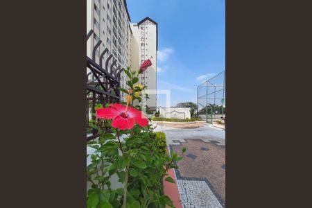 Apartamento à venda com 67m², 3 quartos e 1 vagaJardim