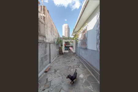 Casa à venda com 250m², 4 quartos e 3 vagas Casa à venda com 250m², 4 quartos e 3 vagasGaragem