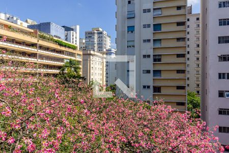 Apartamento à venda com 300m², 3 quartos e 1 vagaVista do Quarto 3 - Suíte