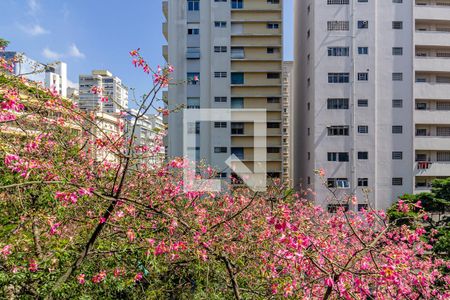 Apartamento à venda com 300m², 3 quartos e 1 vagaVista da Sala de Jantar